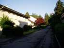 Swiss Residential Street.