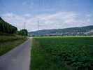 Rhine Veloroute, SWitzerland