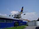 Stuffed & mounted 747, Speyer transport museum