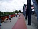 Mainz River Bridge