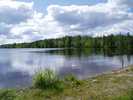 Lake near Puokio